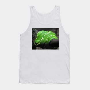 Green Tree Python Tank Top